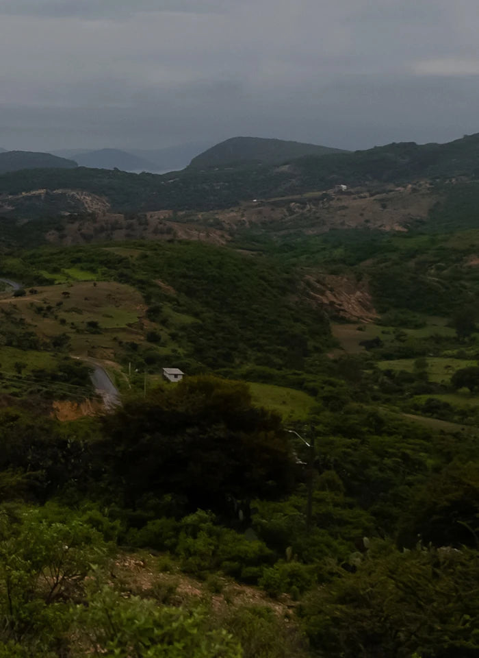 Antioxid Melanocyte Calm™