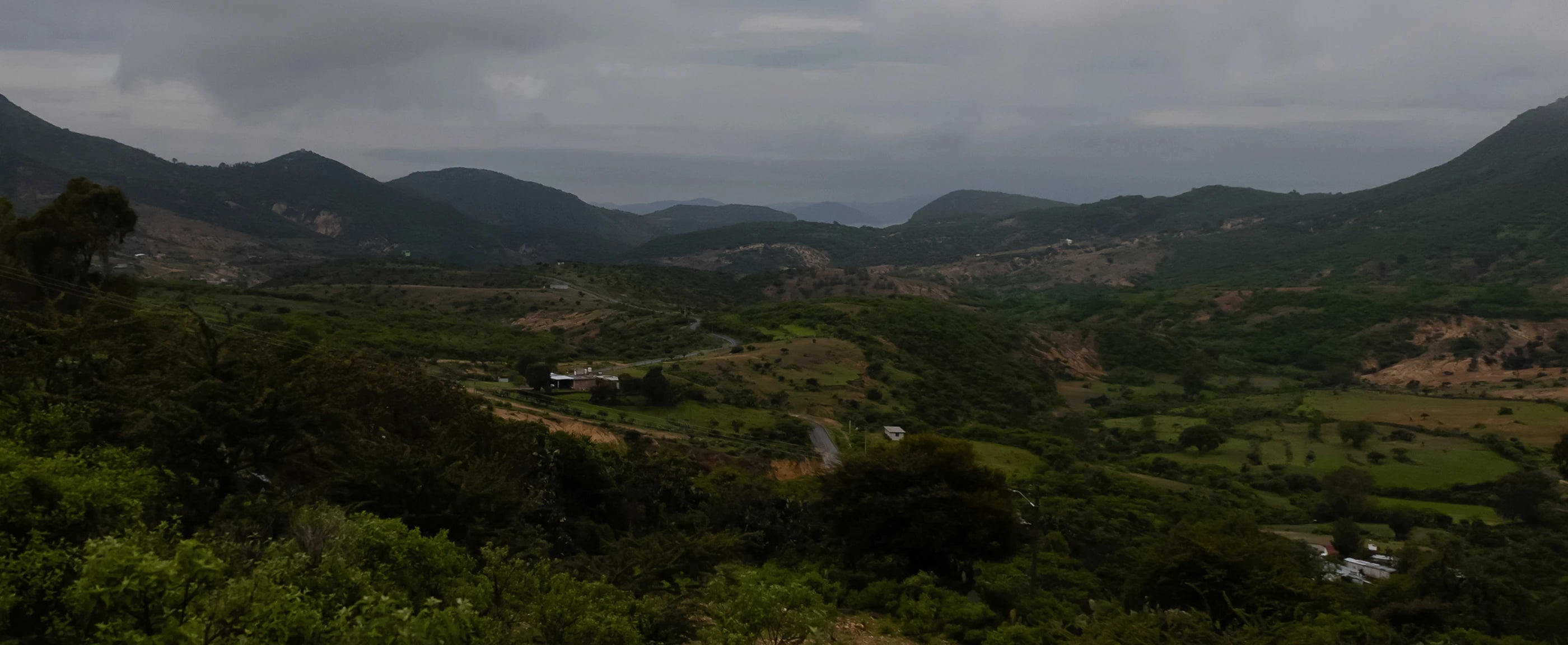 Antioxid Melanocyte Calm™