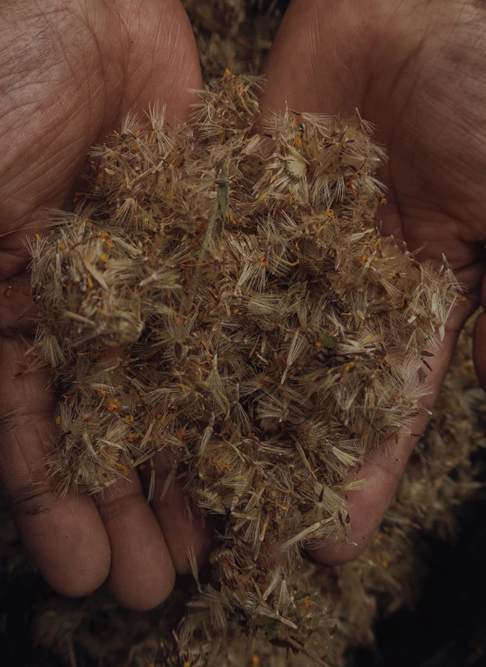 Key Ingredients Hero