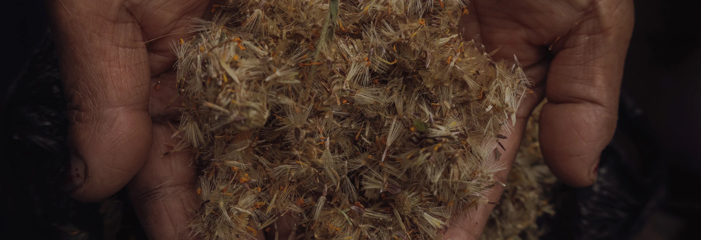 Key Ingredients Hero